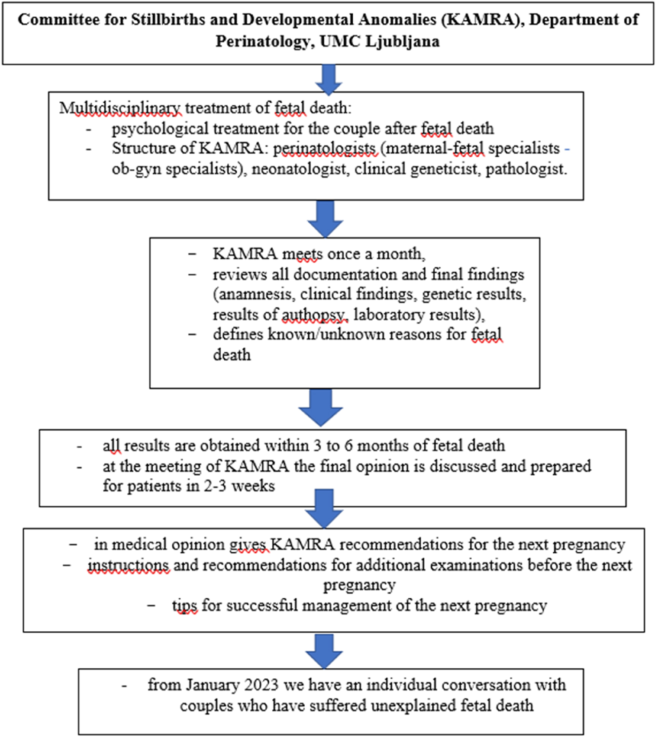 Figure 3: 
A flowchart showing the multidisciplinary team structure of KAMRA and timeline for investigations and final opinion.