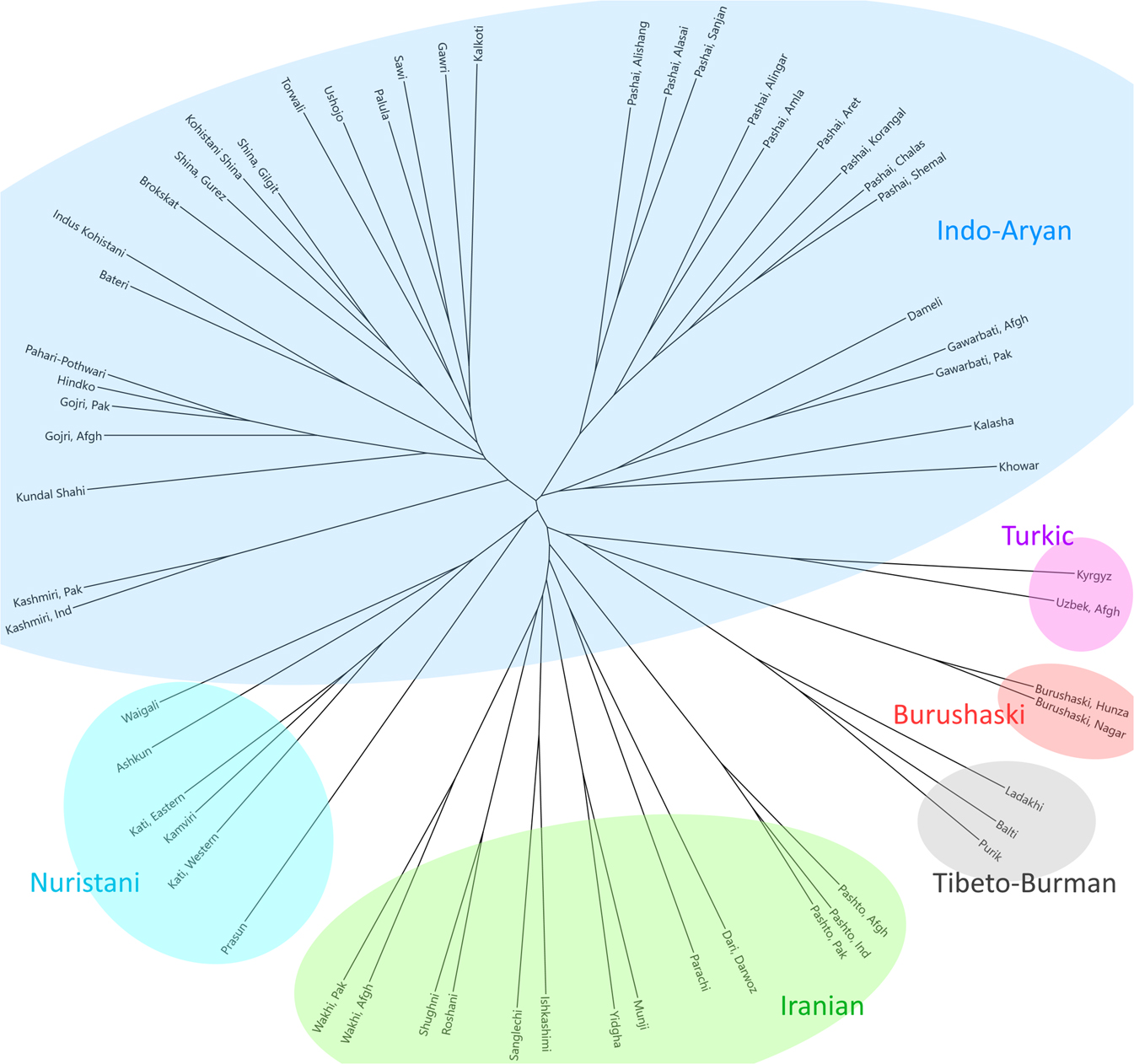 Figure 3:
Automated clustering with Cog version 1.3.4.10016 (lexical neighbor-joining tree based on 100 basic vocabulary items).