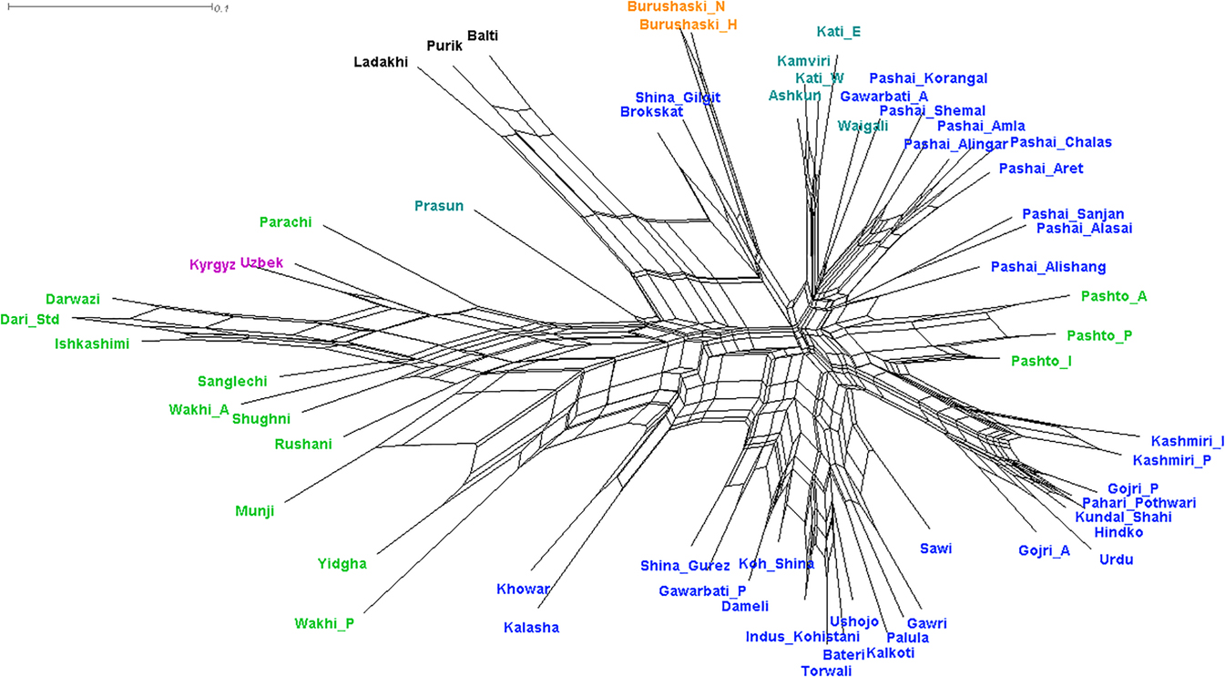Figure 4:
NeighborNet visualization of all 80 structural features generated by SplitsTree version 4.16.1.