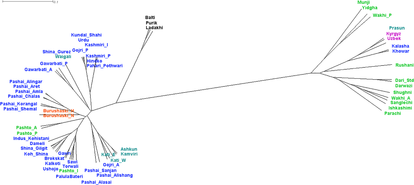 Figure 5:
UPGMA tree based on 48 morphosyntactic features generated by SplitsTree version 4.16.1.
