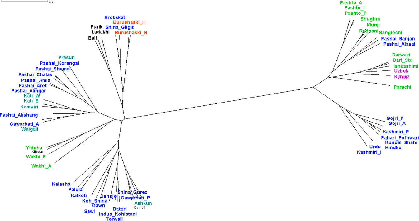 Figure 6:
UPGMA tree based on 32 phonological and lexico-semantic features generated by SplitsTree version 4.16.1.