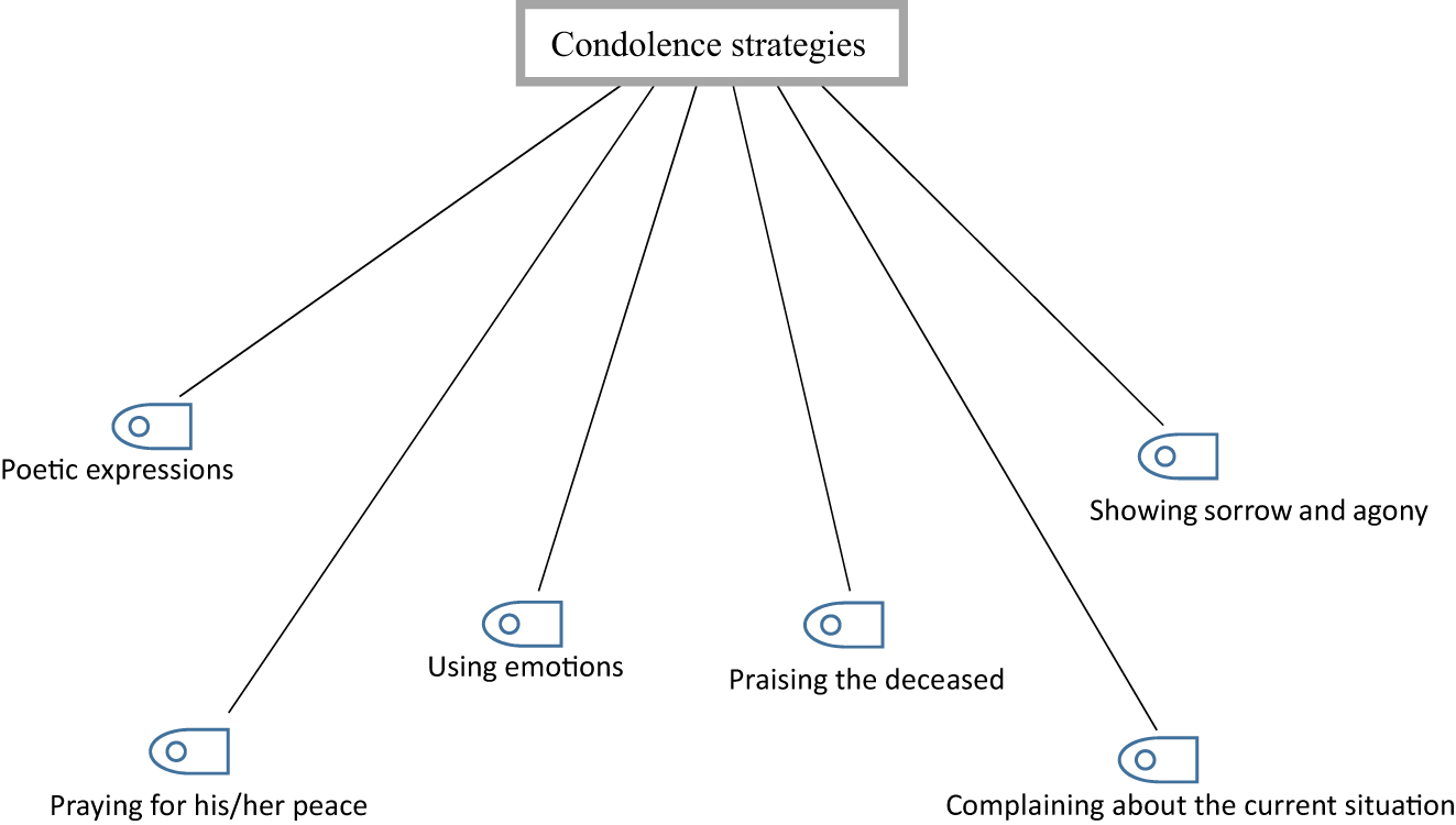 Figure 1: 
Thematic representation of strategies.
