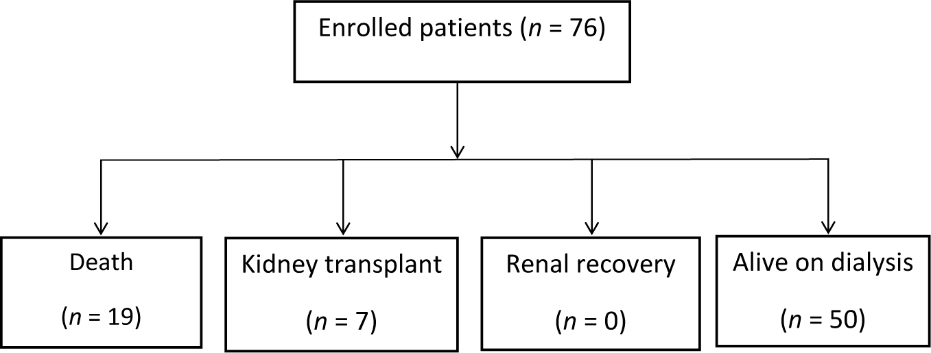 Study chart. The chart describes the participants' clinical outcomes.