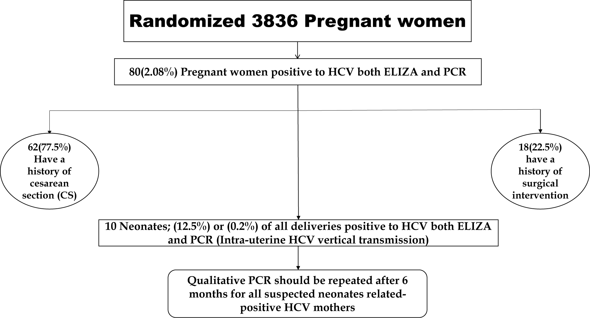 Modified decision tree modified by Rapid I, Berlin, Germany, showing the most independent factor for HCV ongoing transmission. PCR: polymerase chain reaction; HCV: hepatitis C virus; ELISA: enzyme-linked immunosorbent assay.
