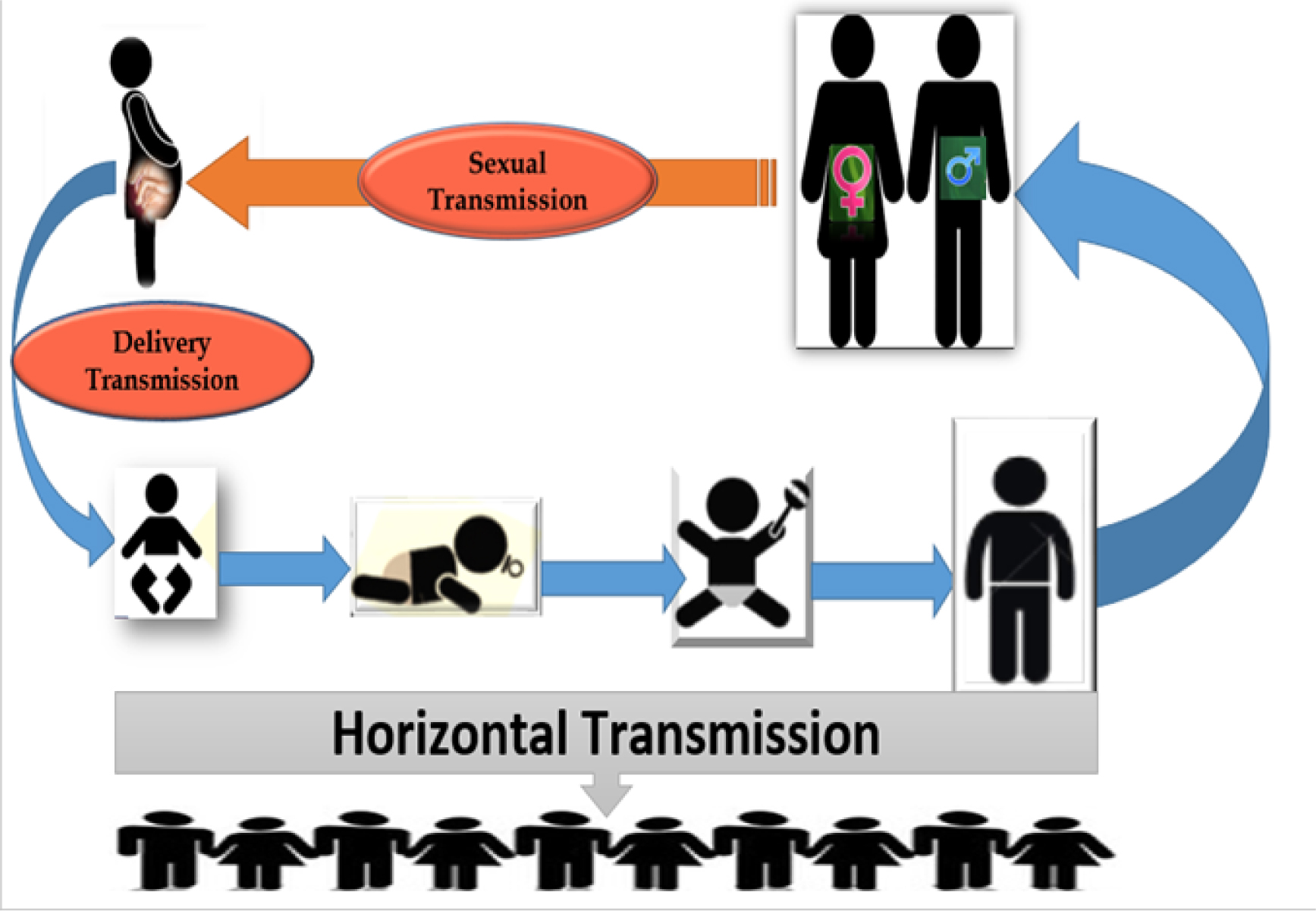 Global HCV transmission—based on MTCT.