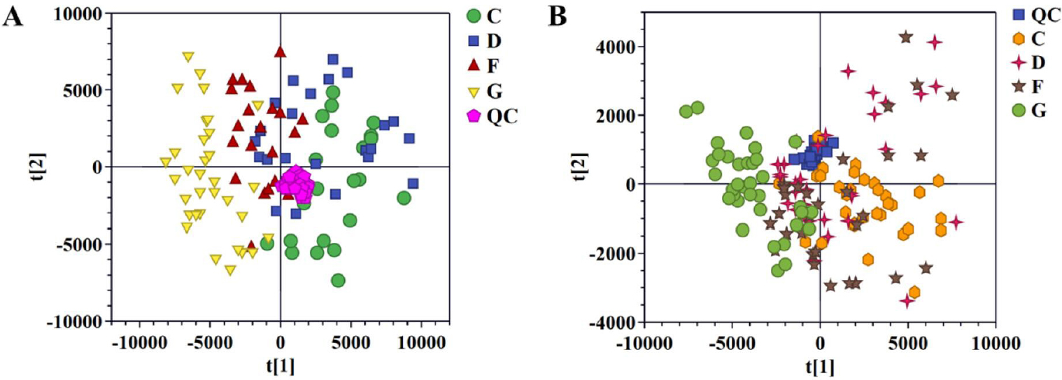 Figure 1 
Pattern analysis of data from the metabolic profiles of serum by UPLC-Q-TOF/MS. A. PCA scores plot of the serum samples in positive mode. B. PCA scores plot of the serum samples in negative mode. PCA: principal component analysis; NC: normal control; AF: Atrial fibrillation; CHD: coronary heart disease. C: NC group; D: AF + CHD group; F: AF group; G: CHD group.
