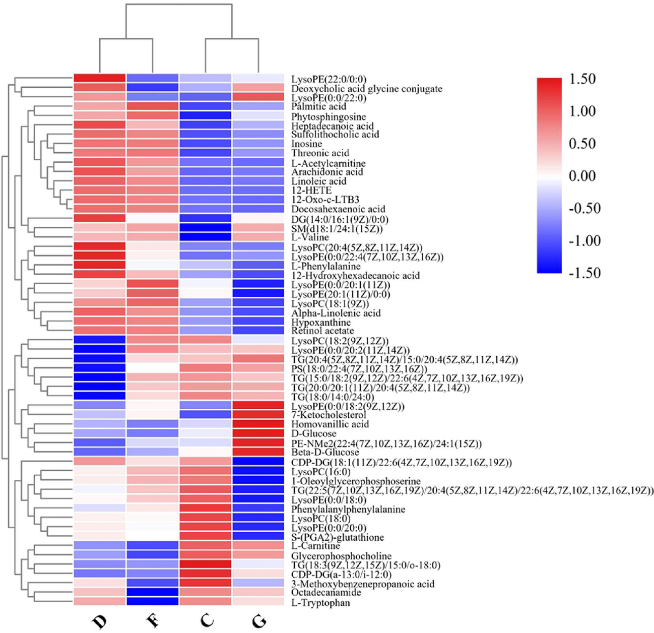 Figure 3 
Heatmap of differential metabolite intensities in different groups. NC: normal control; AF: atrial fibrillation; CHD: coronary heart disease. C: NC group; D: AF + CHD group; F: AF group; G: CHD group.
