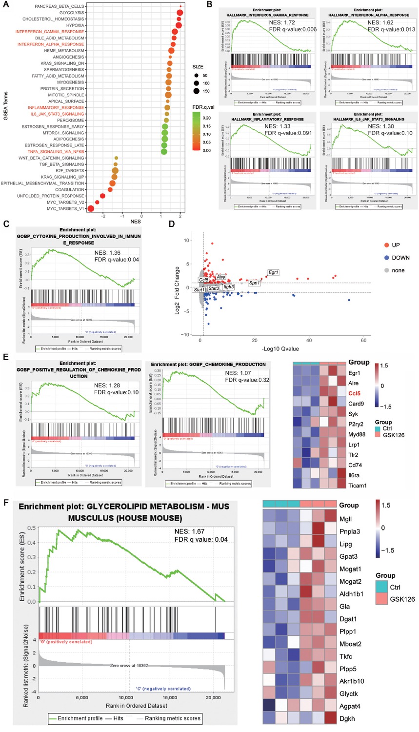 Figure 2 (A) Enrichment plots generated by Gene Set Enrichment Analysis (GSEA) for gene ontology chemokine production genes (left) and hit genes expression in heat map (right), n = 3. (B) Enrichment plots generated by GSEA for gene ontology cytokine production. (C) Enrichment plots generated by GSEA for signaling pathways probably related to cytokine production. (D) Volcano plot of differential expressed genes between GSK126-treated cells and vehicle (UP, red color indicating log2 Fold Change > 1.0 and adjust P value < 0.05; DOWN, blue color indicating Log2 Fold Change < -1.0 and adjust P value < 0.05; other genes are colored in grey. (E) Enrichment plots generated by GSEA for signaling pathways probably related to chemokine production. (F) Enrichment plots generated by GSEA for glycerolipid metabolism.