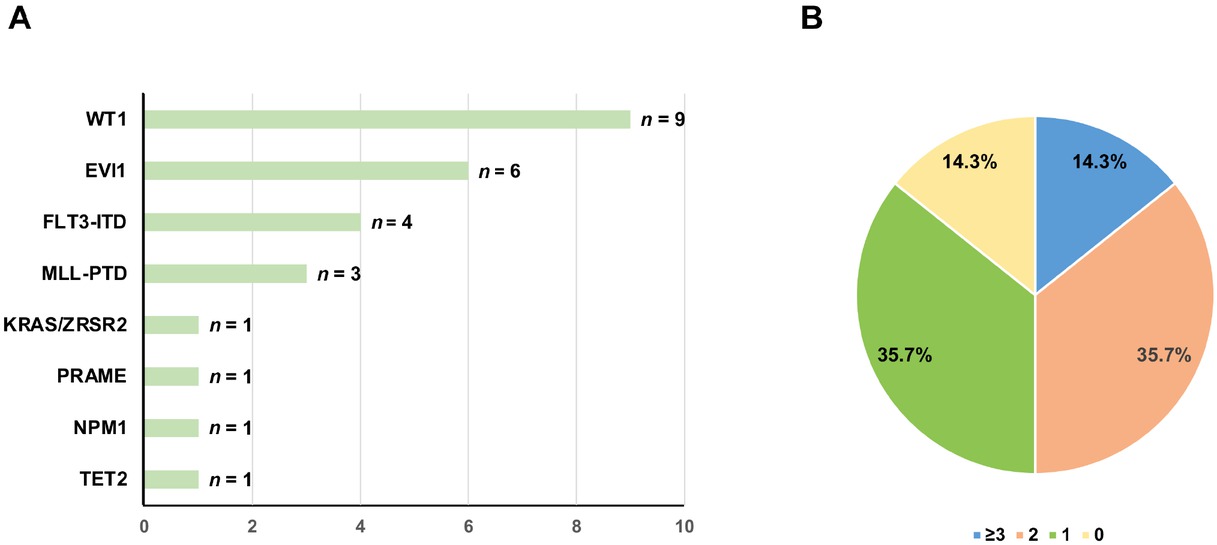 Figure 1 The distribution of partner genes for DEK-NUP214 (A) and types of other molecular abnormalities (B).