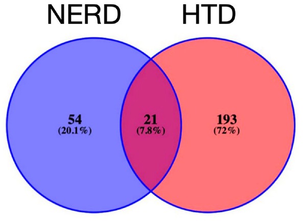 Figure 1 Network diagram of “compound component-target” of HTD. NERD, Non-erosive reflux disease; HTD, Huoxue Tongjiang Decoction.