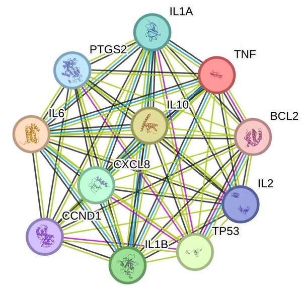 Figure 2 PPI network of potential targets of HTD. PPI, proton pump inhibitor; HTD, Huoxue Tongjiang Decoction.