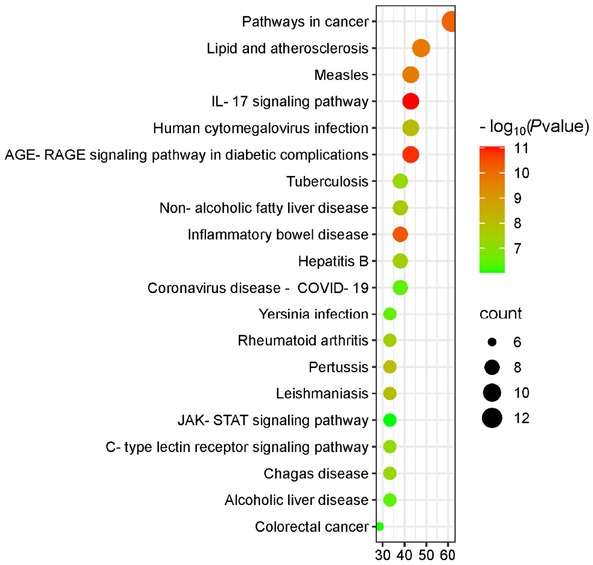 Figure 4 KEGG pathway analysis of potential targets of HTD for NERD. HTD, Huoxue Tongjiang Decoction; NERD, Non-erosive reflux disease.