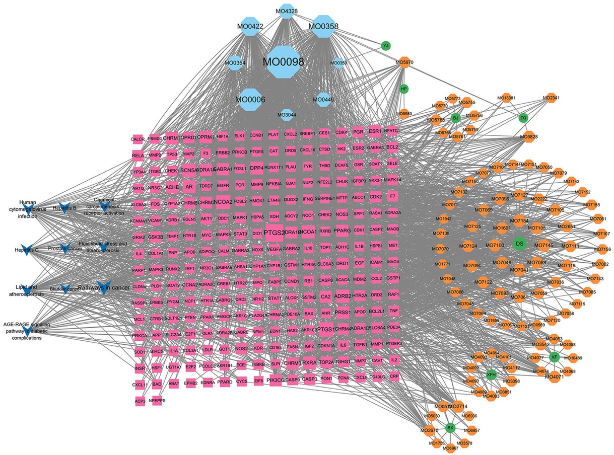 Figure 5 HTD “drug active component-potential target-pathway” network diagram. HTD, Huoxue Tongjiang Decoction.