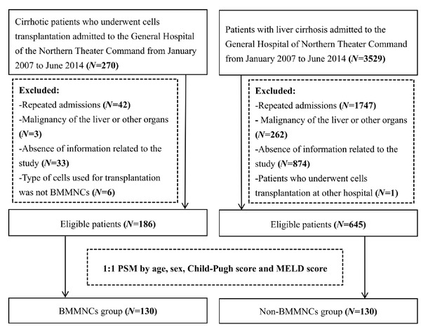 Figure 1 Flowchart of patients’ screening and grouping. BMMNCs: bone marrow mononuclear cells; PSM, propensity score matching; MELD: model for end-stage liver disease.