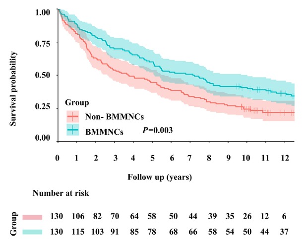Figure 2 Kaplan-Meier curve analyses demonstrating the cumulative rates of survival in patients with liver cirrhosis. BMMNCs: bone marrow mononuclear cells.