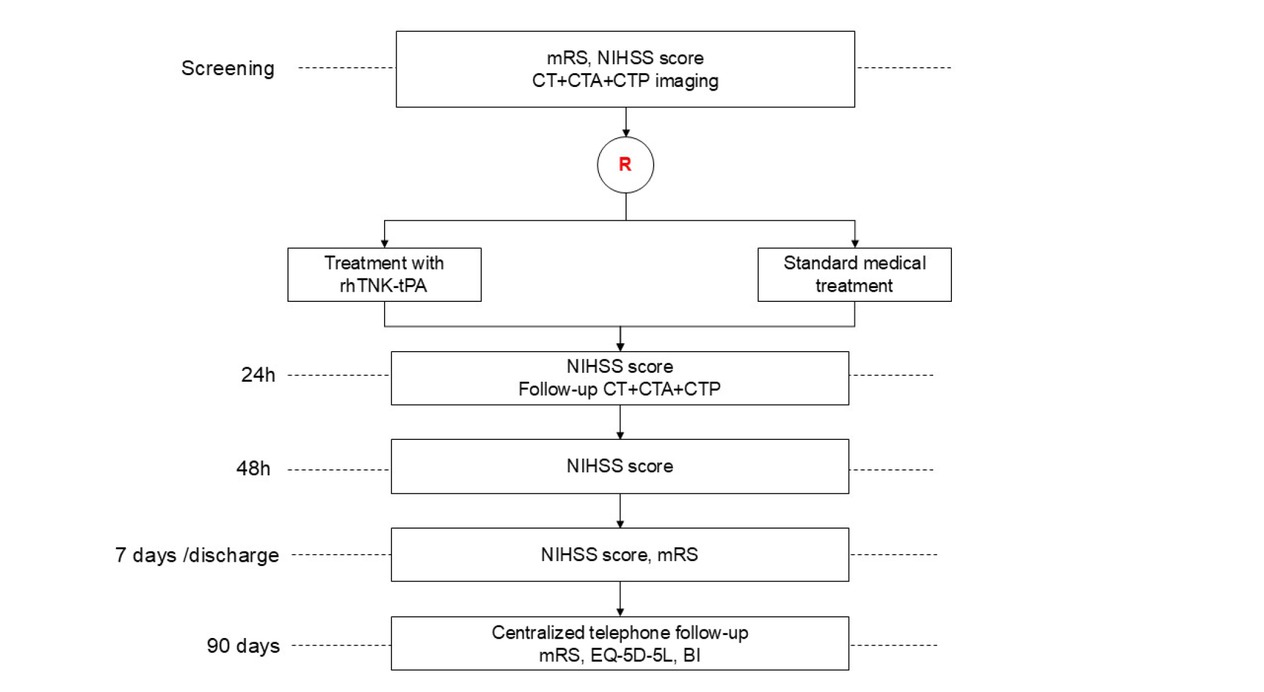 Figure 1 Study Flow Chart. mRS, modified Rankin scale; NIHSS, National Institutes of Health Stroke Scale; CT, computed tomography; CTA, computed tomography angiography; CTP, computed tomography perfusion imaging; rhTNK- tPA, recombinant human tenecteplase tissue-type plasminogen activator; EQ-5D-5L, EuroQoL 5-Dimensions 5-Level questionnaire; BI, Barthel Index.