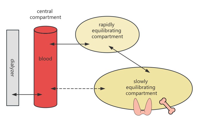 Figure 1 Graphic illustration of the three-compartment model.