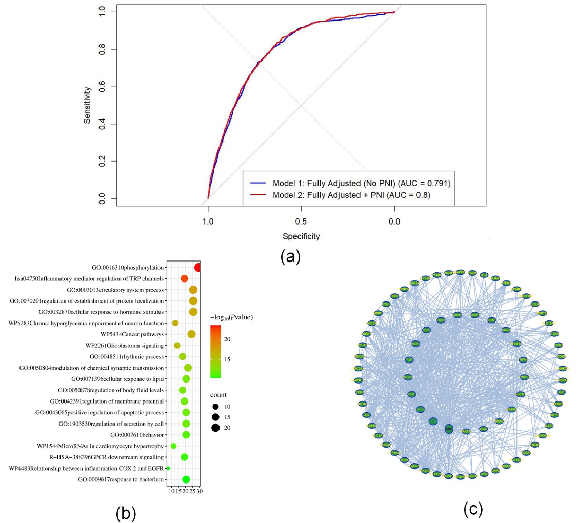 Figure 1 Composite visualization of predictive nutritional index (PNI)’s predictive value and biological relevance in coronary heart disease. (a) ROC curves that show the difference between fully adjusted logistic regression models with and without PNI. Adding PNI made the model work a little better (the AUC went from 0.791 to 0.800). (b) GO/KEGG enrichment analysis of PNI-associated genes indicated substantial participation in immune response and inflammation-related pathways. (c) Protein-protein interaction (PPI) network of key genes linked to PNI illustrating dense interactions within immune-regulatory modules.