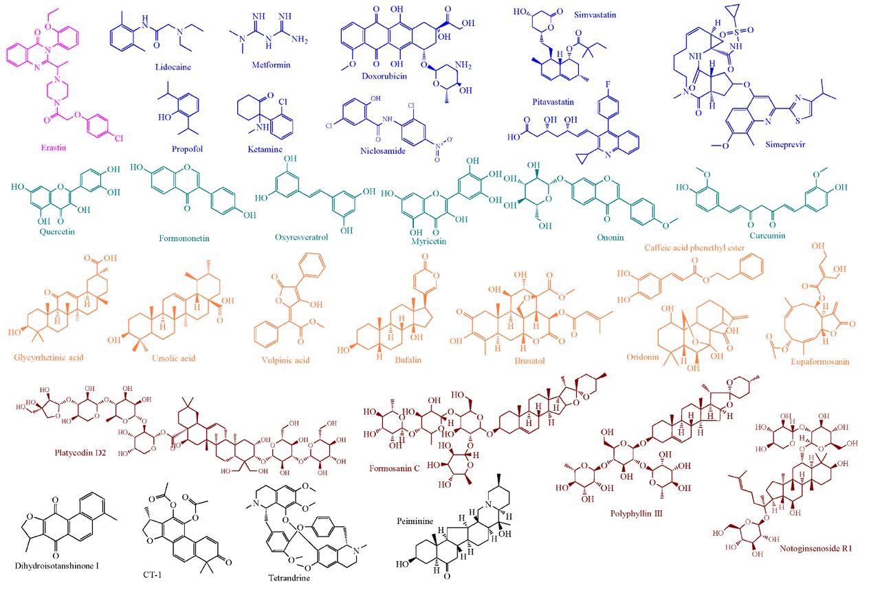 Figure 5 The molecular structures of representative ferroptosis inducers in breast cancer. Pink represents the ferroptosis-inducing compound: Erastin; blue indicates clinically approved drugs; light green denotes natural products: flavonoids; orange highlights natural products: acid or ester; brown exhibits saponins derived from plants; gray signifies unclassified natural products.