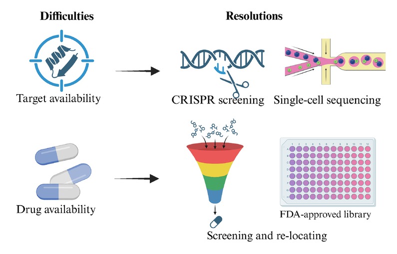 Figure 7 The potential challenges and resolutions of targeting the crosstalk between ferroptosis and tumor microenvironment.