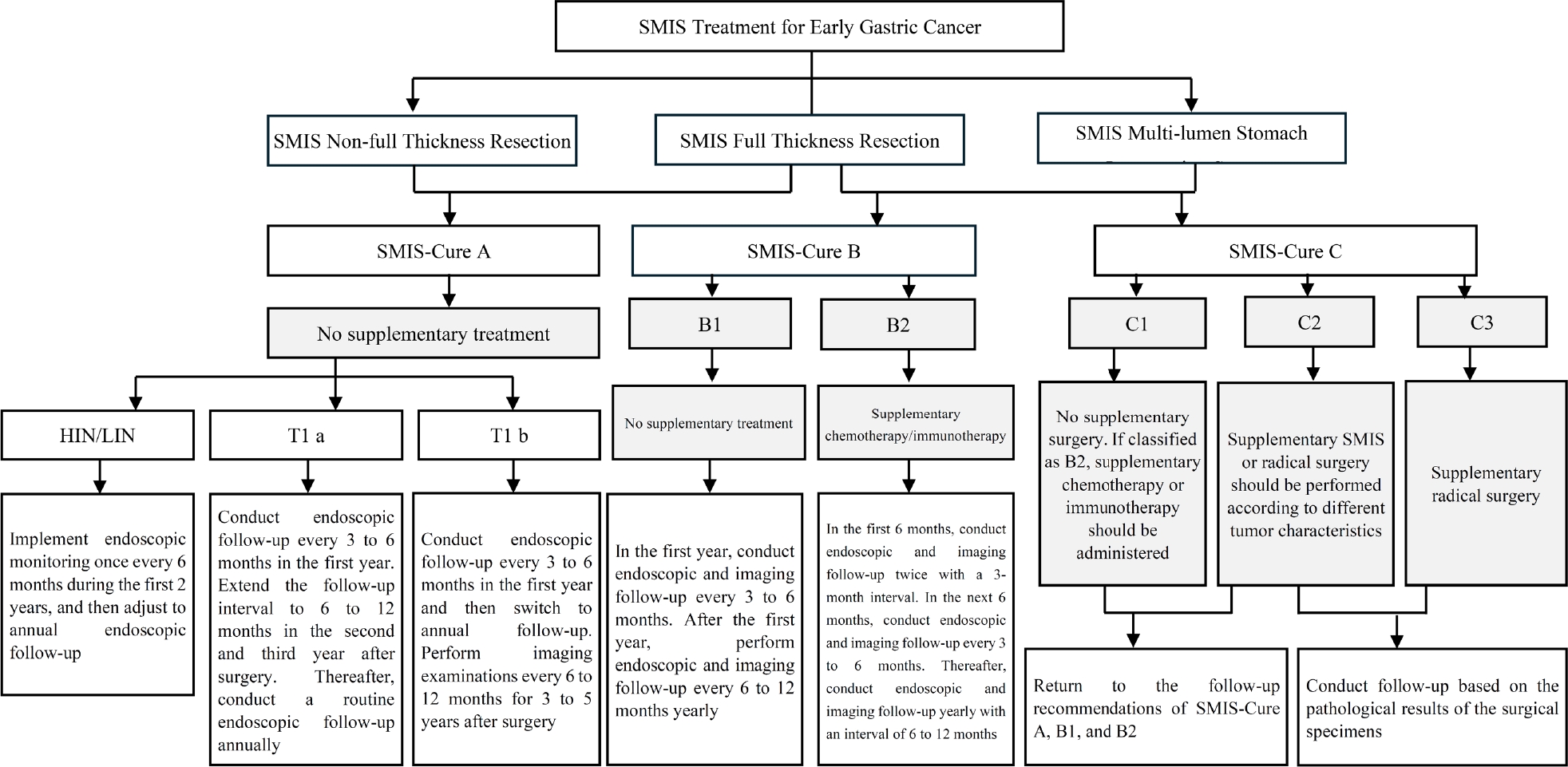 Figure 2 Supplementary treatment status after surgery evaluated by the SMIS-Cure system. SMIS, super minimally invasive surgery.