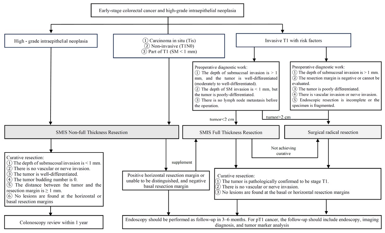 Figure 3 SMIS strategy selection, prognosis, and follow-up for early colorectal cancer and high-grade intraepithelial neoplasia. SMIS, super minimally invasive surgery.