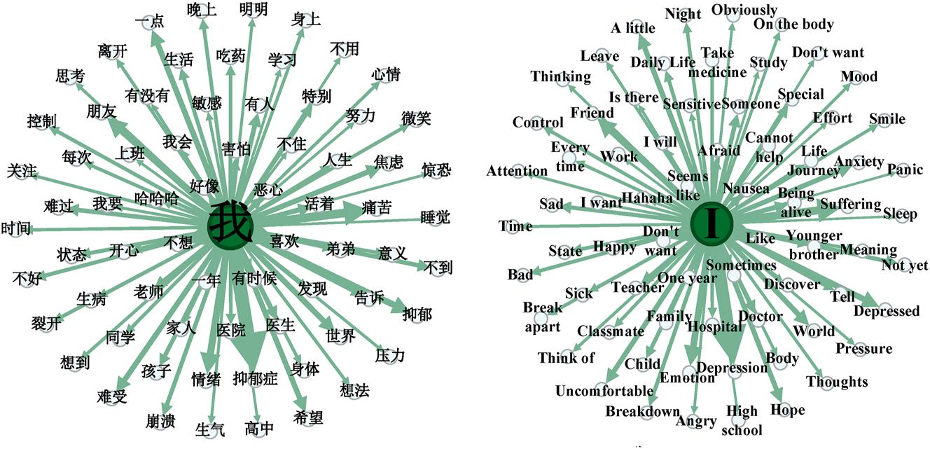 Figure 2:
Online self-disclosure discourses related to “我” (wo, ‘I’) by individuals with depression.