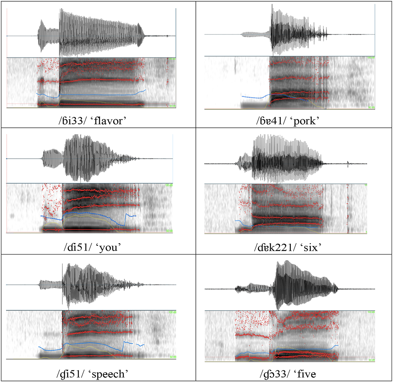 Figure 2: 
Spectrograms and waveforms of Zhangzhou implosives.
