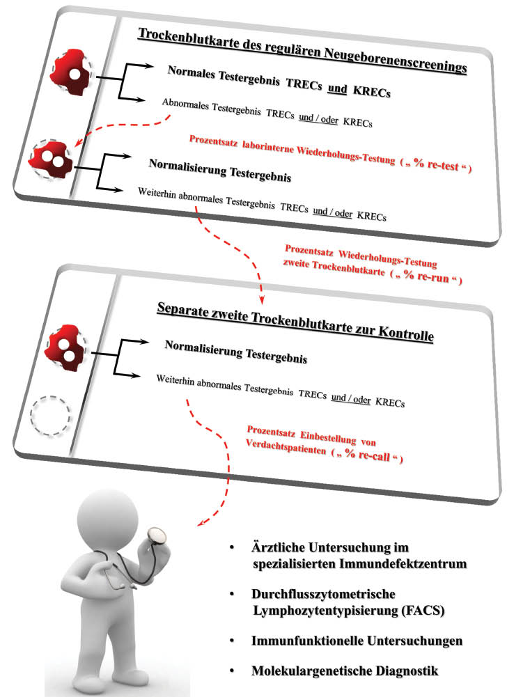 Abbildung 4 Vereinfachtes Flussdiagramm des TREC-KREC Screeningtests mit anschließender Trackingstrategie bei wiederholt  „abnormal“ getesteten Trockenblutproben.