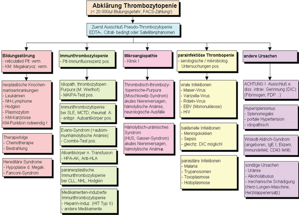 Abbildung 17 Abklärung der wichtigsten Ursachen einer Thrombozytämie.