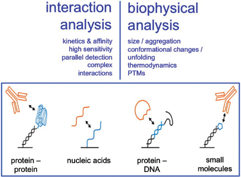 Abbildung 3: Prinzip des switchSENSE®, Fa. Dynamic Biosensors GmbH (H. Daub).