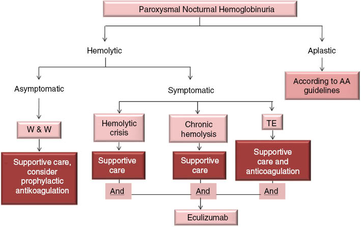 Figure 3: Treatment algorithm adopted from the German PNH guidelines [67].Treatment differs between patients with hemolytic PNH and patients with pancytopenia. Patients with pancytopenia are treated according to guidelines of aplastic anemia. The decision to treat with eculizumab depends on symptoms regardless of clone size.