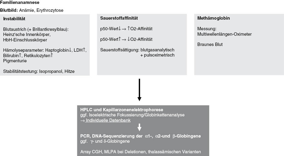 Abbildung 2: Stufendiagnostik von Hämoglobinvarianten.