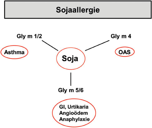 Abbildung 2: Rolle der Komponenten Gly m 4, Gly m 5 und Gly m 6 im Rahmen der Soja-allergiediagnostik.