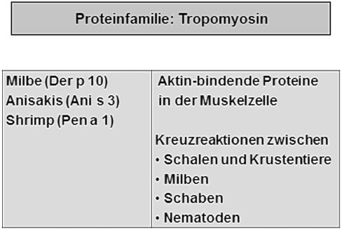 Abbildung 4: Die Proteinfamilie der Tropomyosine – Eigenschaften und Vorkommen.