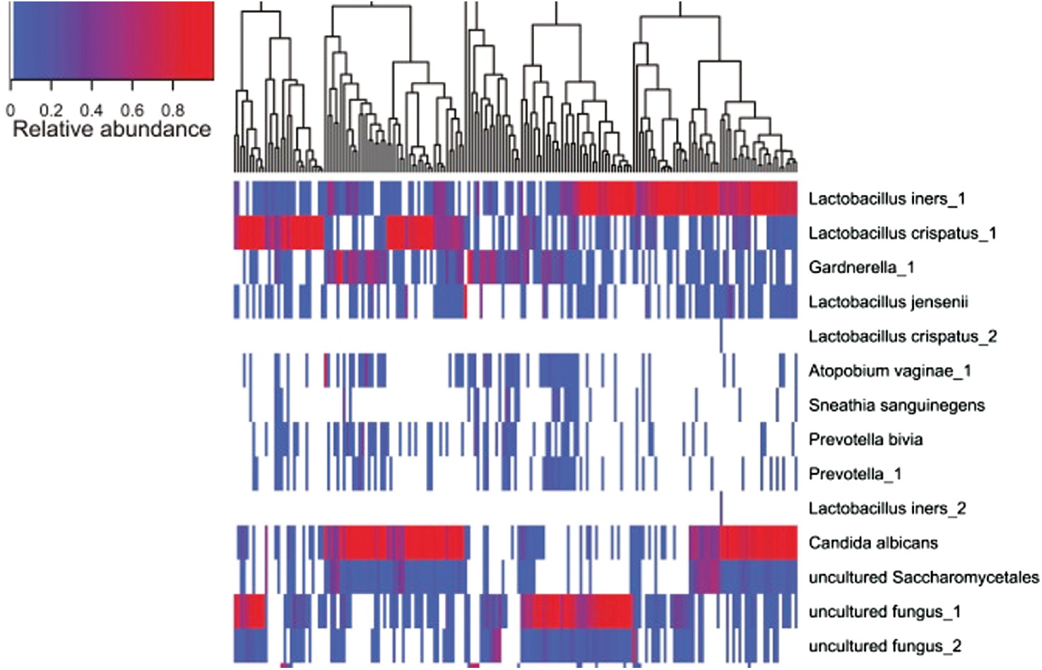 Figure 2: Relative abundance of the most abundant bacterial and fungal operational taxonomic units (OTUs) found in the vaginal communities of 181 women [11].