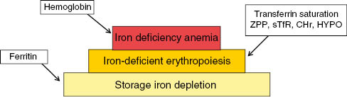 Figure 3: Laboratory parameters of iron metabolism and their sensitivity.