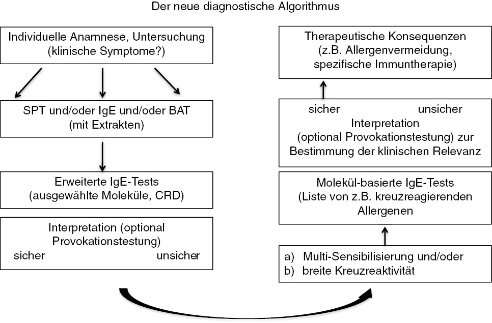 Abbildung 1: Der neue diagnostische Algorithmus (aus [8]).