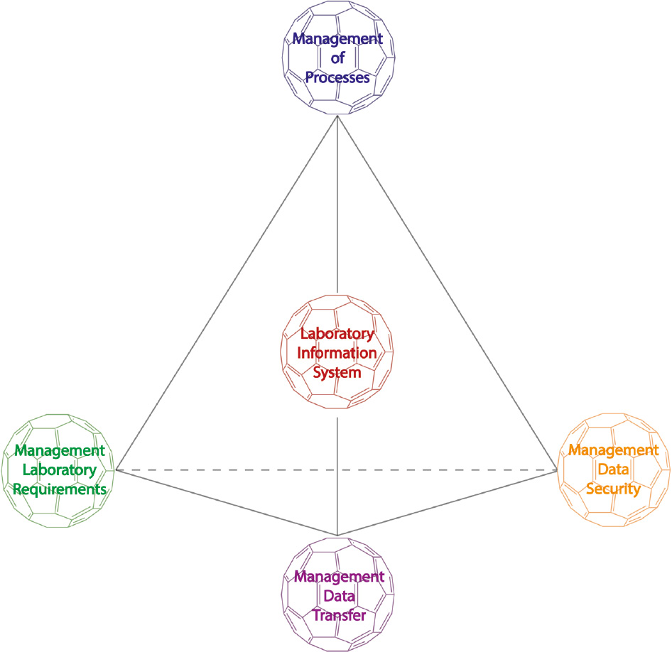 Figure 1: The LIS and its contacts shown as a triangular pyramid.