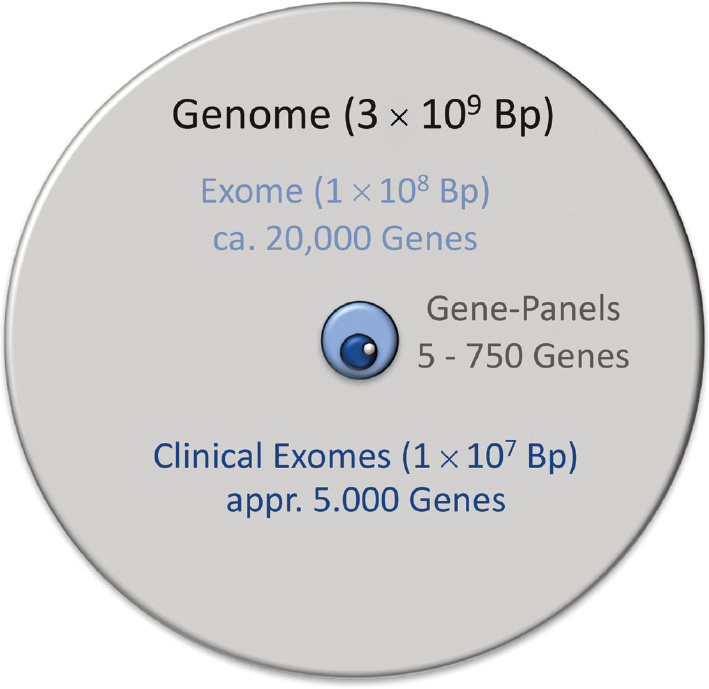 Figure 1: Volume of different genetic tests, size in base pairs (bp).
