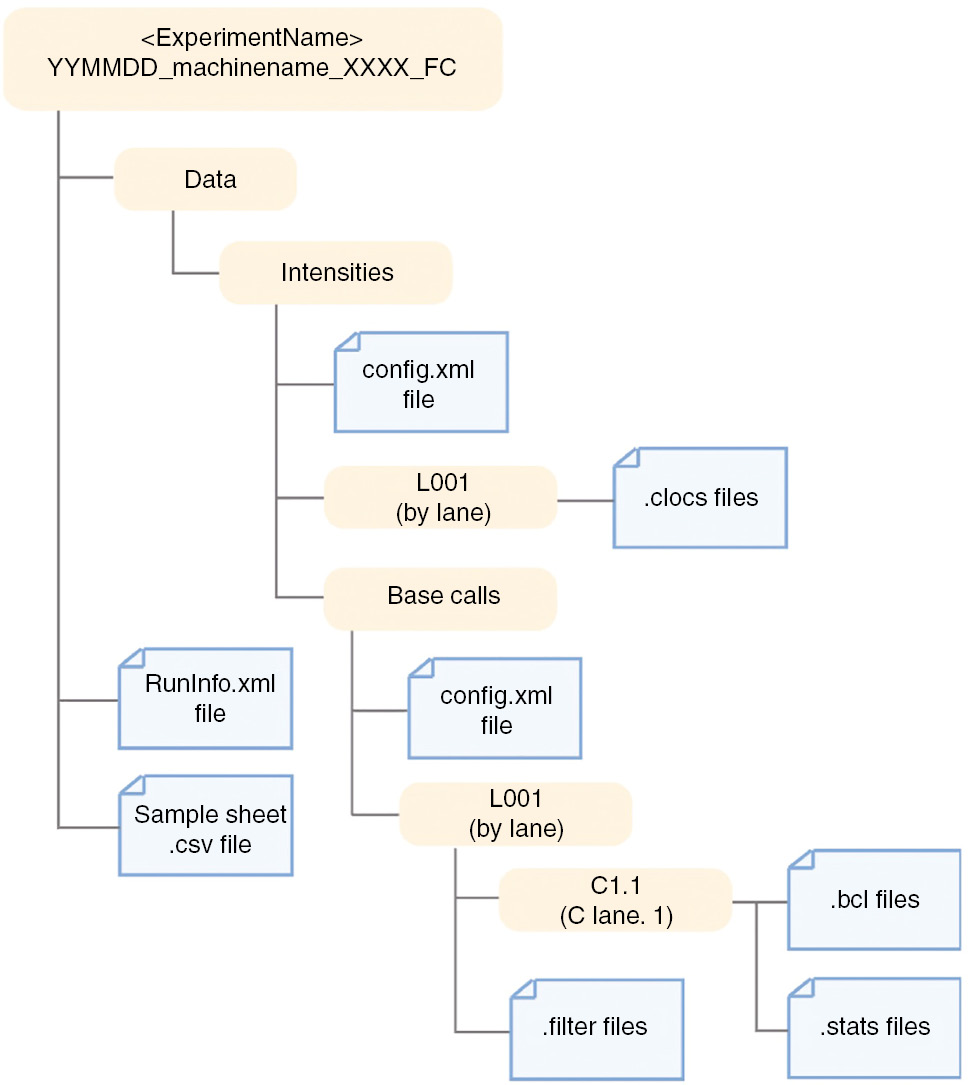 Figure 2: Illumina raw data folder structure (Illumina bcl2fastq guide v2, page 6).