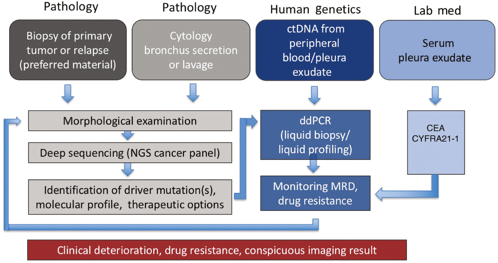 Figure 3: Diagnostic routing and interplay of different tests in the diagnosis of NSCLC.