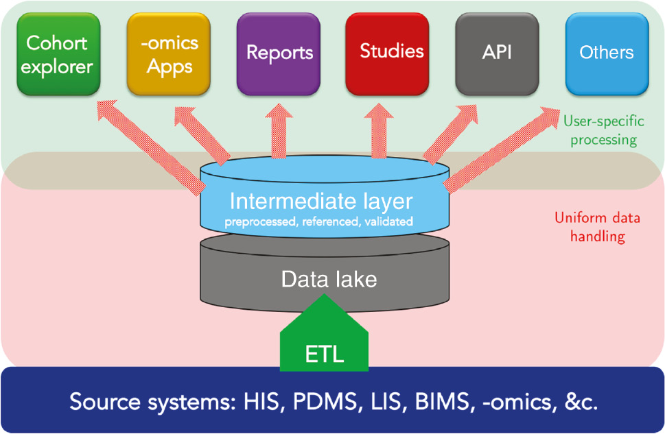 Figure 1: Simplified schematic of the Insel clinical data warehouse structure.From bottom to top: Source systems (Hospital Information System [HIS], Patient Data Management System [PDMS], Laboratory Information System [LIS], Biobank Information Management System [BIMS], “-omics” systems [actually mainly file-based] and further source systems) are attached to the data lake via ETL (extract, transform, load) processes. The data is then preprocessed, referenced and at least partly validated and accessible in an intermediate layer. User-specific data transfers are based on the intermediate layer data and accessible via different tools or APIs, e.g. for queries from the SPHN.