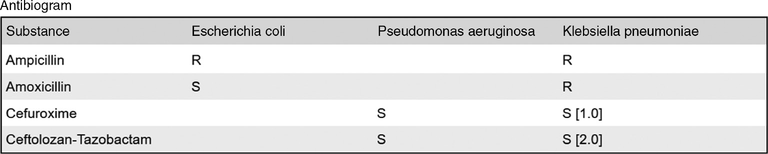 Figure 2: Typical laboratory values table in the ELGA laboratory report with highlighting of lines with values outside the reference range.