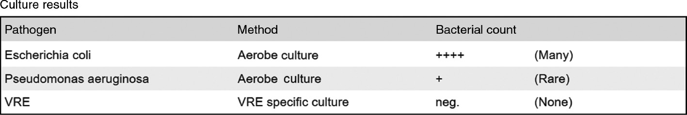 Figure 3: Display of culture results.The semiquantitative indication of the number of germs is carried out with standardized identifiers, optionally also with textual representation.
