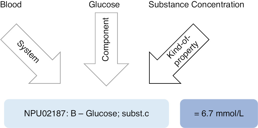 Figure 2: Structure of a Nomenclature for Properties and Units (NPU) code using a glucose measurement as an example.