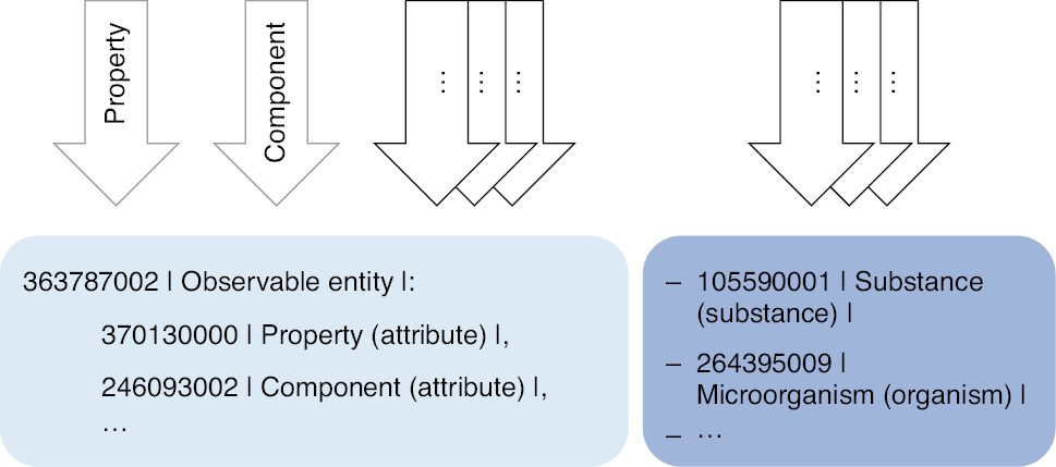 Figure 4: Structure of a SNOMED Clinical Terms (SNOMED CT) concept for both analyses and non-numerical result values.All concepts can be further specified with attributes and SNOMED CT’s compositional grammar.