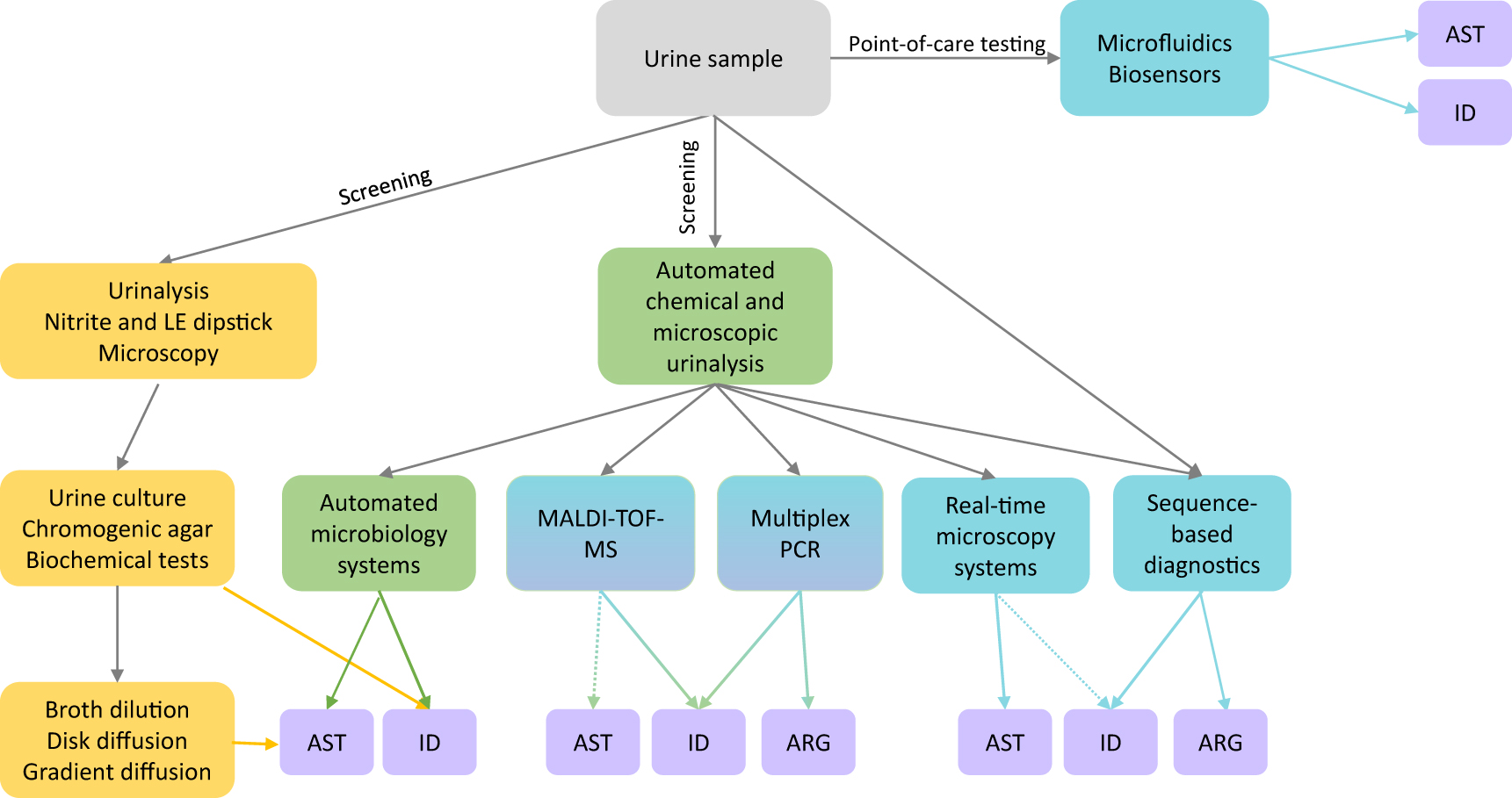 Figure 1: 
Laboratory methods for diagnosis of UTIs.
Traditionally (yellow boxes), lab diagnosis begins with urinalysis by dipstick tests and microscopy; positive samples may be sent for urine culture where the pathogen is identified (ID) by chromogenic agar or biochemical tests. Antibiotic susceptibility testing (AST) is determined following culture by broth dilution, disk diffusion, or gradient diffusion. In green boxes are represented currently available new automated technologies – automated urinalysis systems for high-throughput screening and automated microbiology systems that can deliver both pathogen ID and AST more rapidly than traditional systems. Methods are in progress (blue-green boxes) for directly using urine samples for pathogen ID (and potentially AST) by MALDI-TOF. Multiplex PCR methods are also commercially available for uropathogen identification and detection of antibiotic resistance genes (ARG). Emerging technologies (blue boxes), such as microfluidics and biosensor-based methods, have the potential for point-of-care testing. Real-time microscopy systems also are emerging as a tool for rapidly determining AST and possibly, ID. Urine samples may be directly used in metagenomic sequencing to determine bacterial species and to detect antibiotic resistance genes in the whole sample. Dotted arrows represent in progress.
