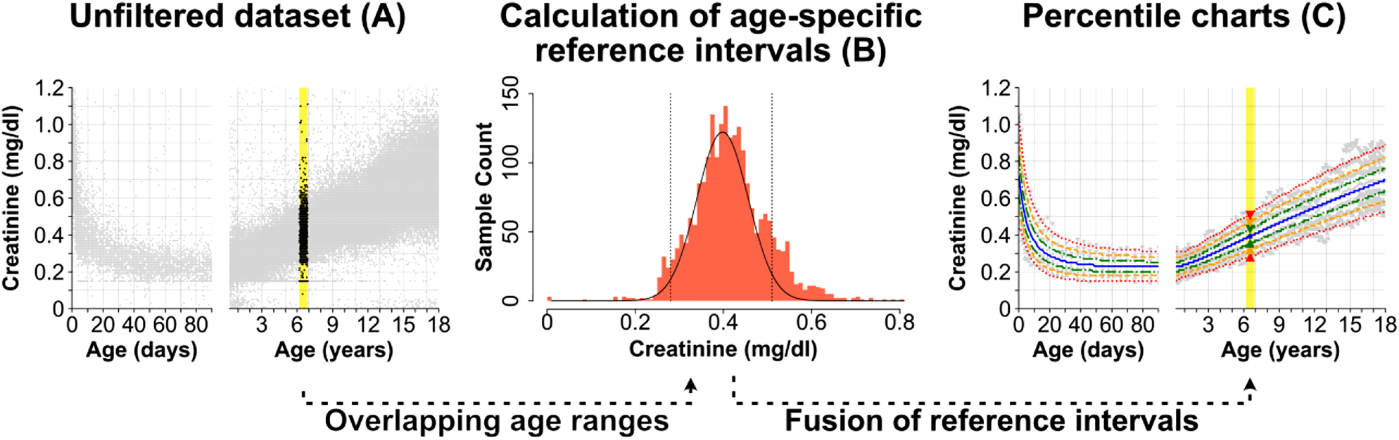 Figure 2: 
Approach to create continuous reference intervals and percentile charts in the PEDREF study [12].
Test results (example for girls’ creatinine values) are retrieved from laboratory information systems (A), and the distribution of physiological samples is identified using kosmic (see Figure 1) for each age (B). The determined age-specific distributions are subsequently merged to create continuous percentile charts from birth to 18 years (C).
