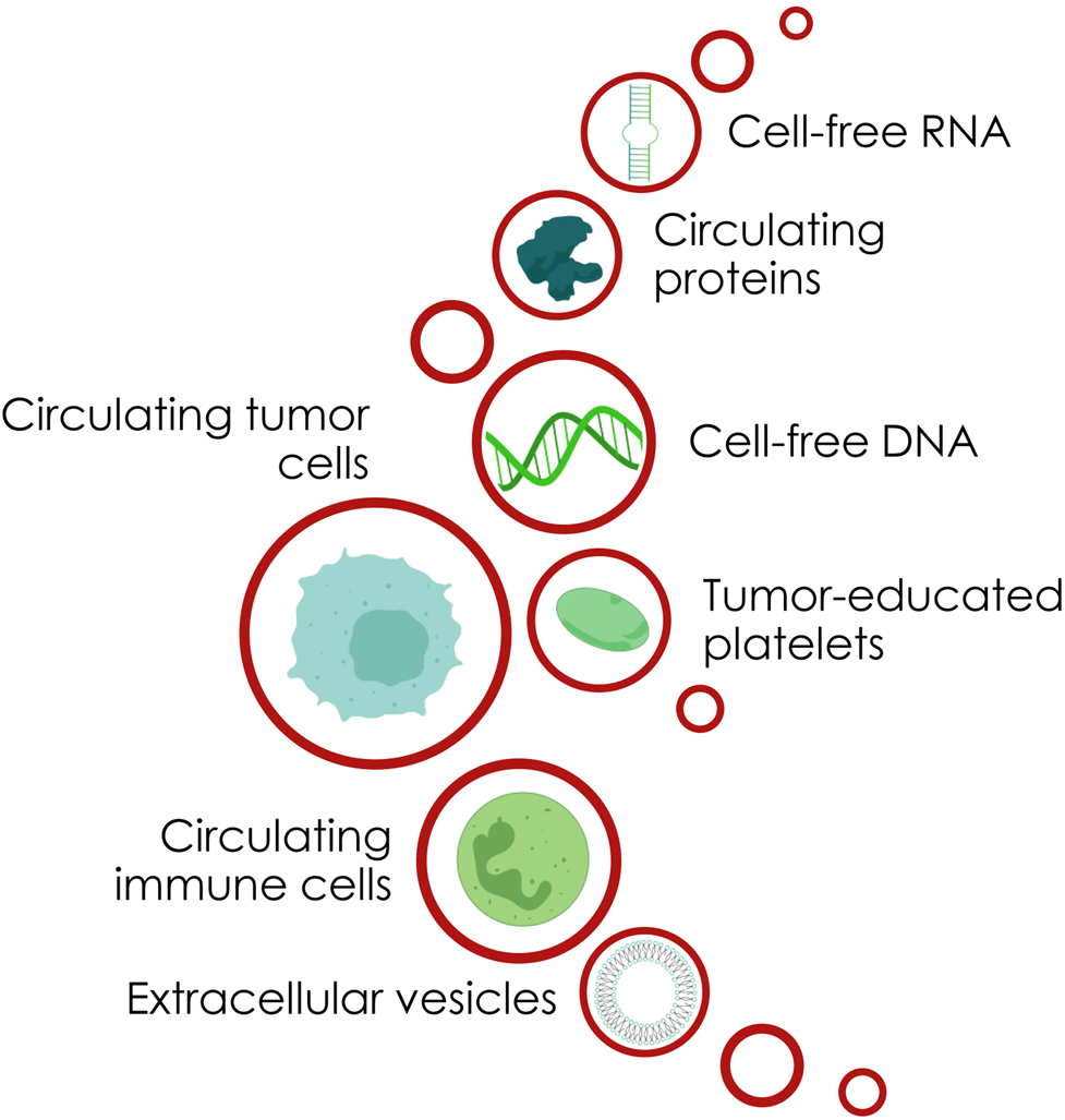 Figure 1: 
Diversity of liquid biopsy analytes.
